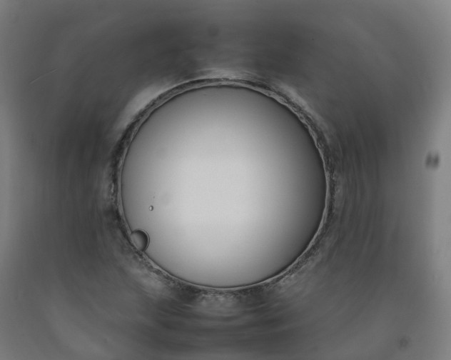 X0000092241215200709281117