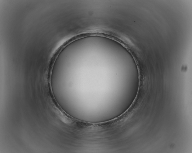 X0000092241216200709281117