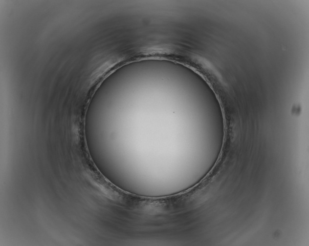 X0000092241217200709281117