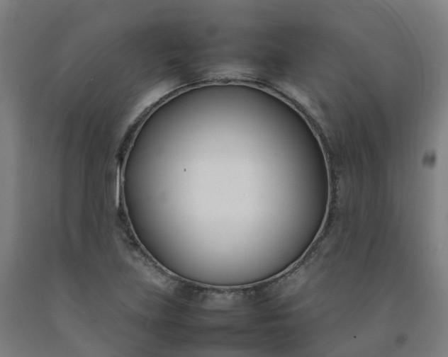 X0000092241219200709281117