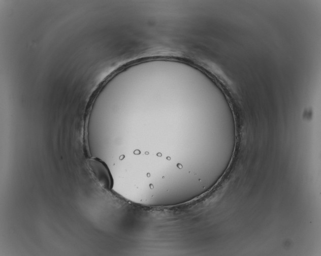 X0000092241220200709281117