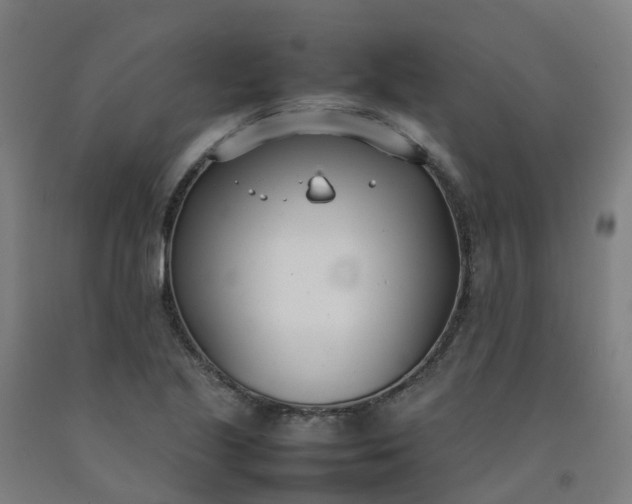 X0000092241221200709281117