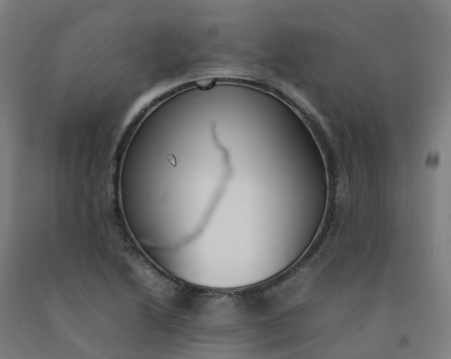 X0000092241222200709281118