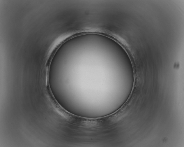 X0000092241223200709281118