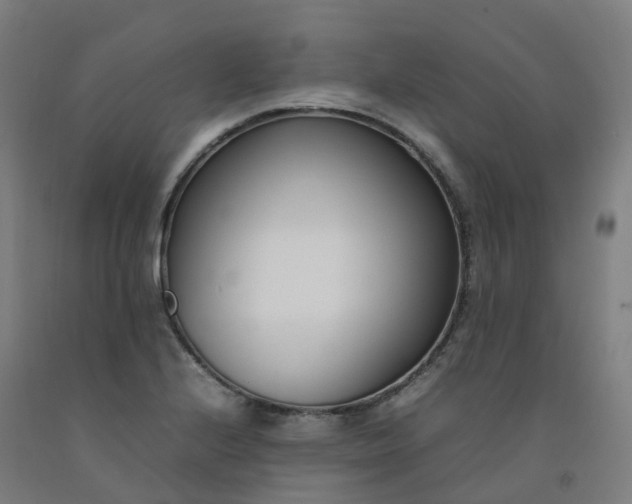 X0000092241224200709281118