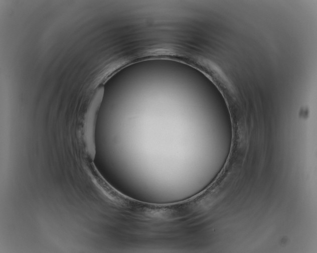 X0000092241225200709281118