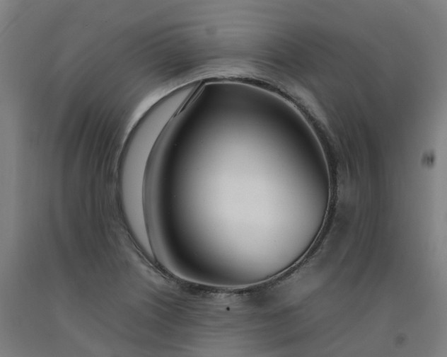 X0000092241226200709281118