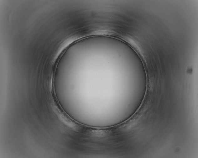 X0000092241227200709281118