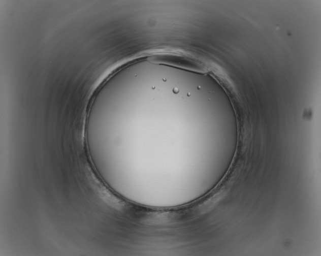 X0000092241228200709281118