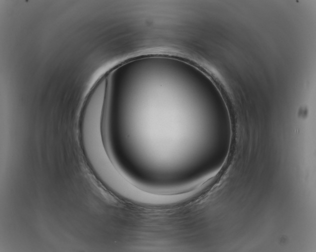 X0000092241230200709281118
