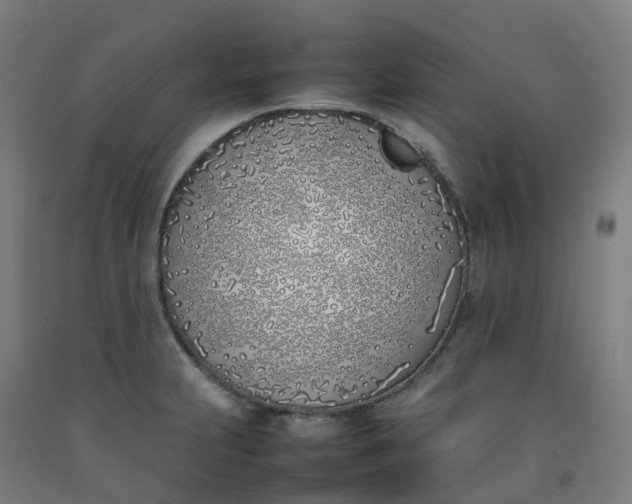 X0000092241231200709281118