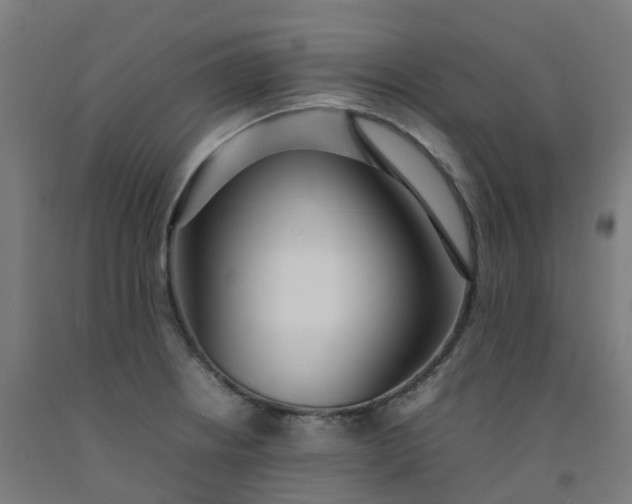 X0000092241234200709281118