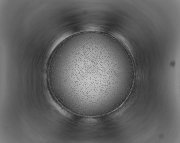X0000092241235200709281118