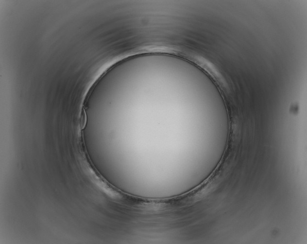 X0000092241236200709281118