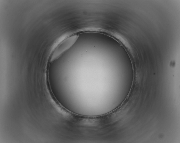 X0000092241237200709281118