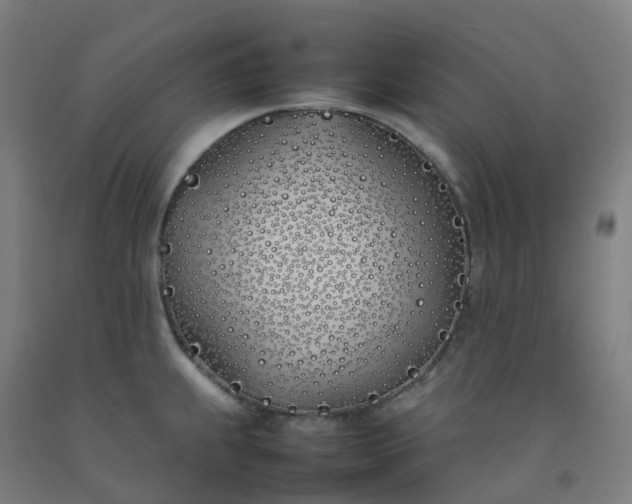 X0000092241239200709281118