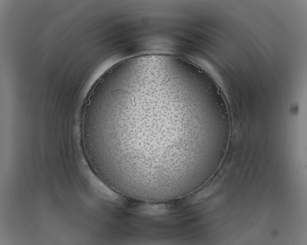 X0000092241243200709281118