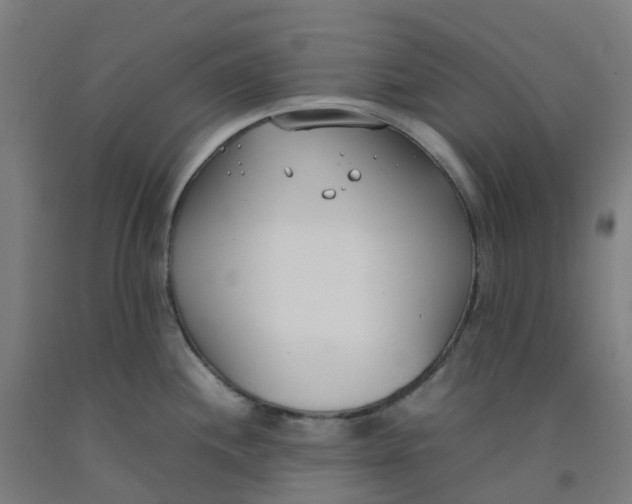 X0000092241244200709281118