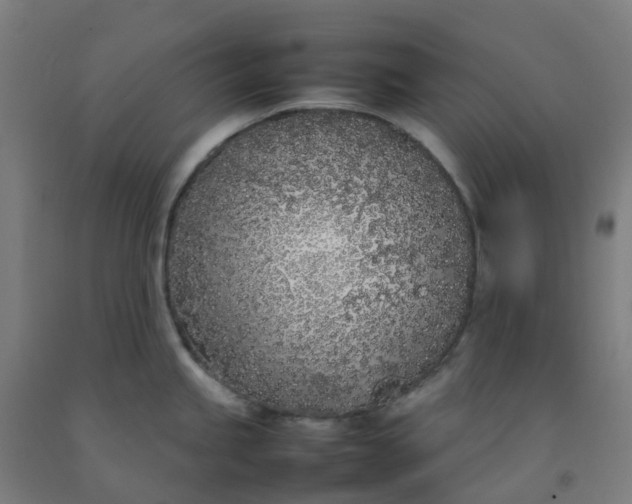 X0000092241245200709281118