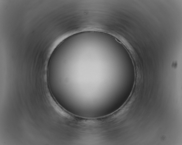 X0000092241246200709281118