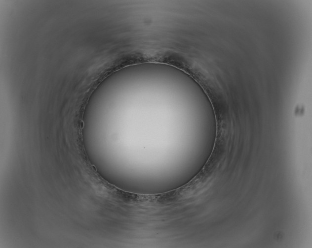 X0000092241249200709281117