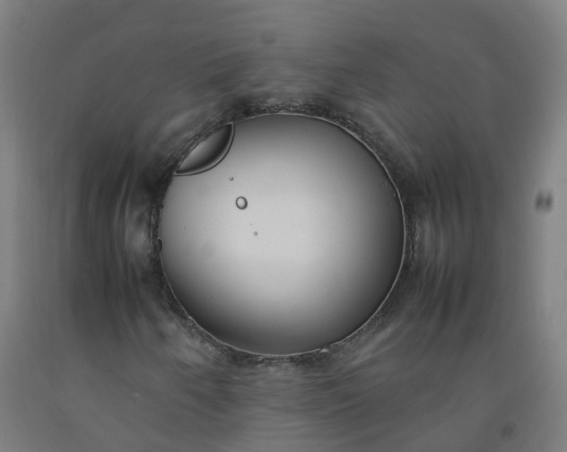 X0000092241250200709281117