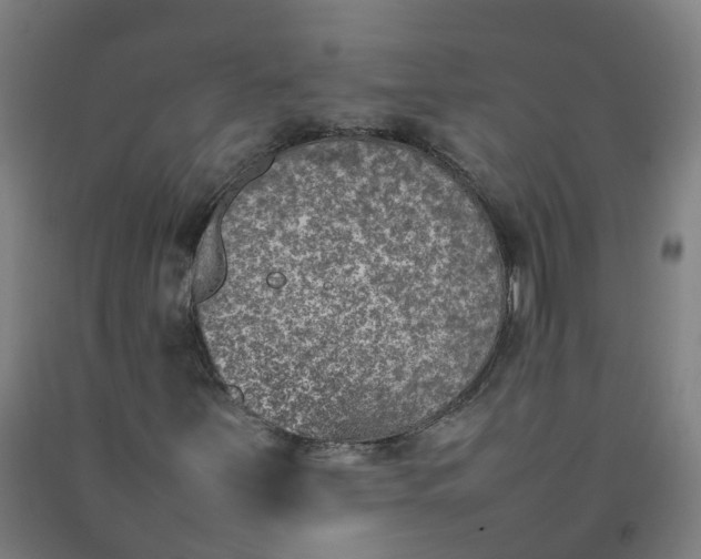 X0000092241251200709281117