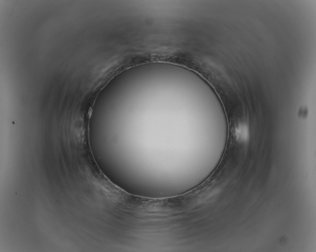 X0000092241252200709281117
