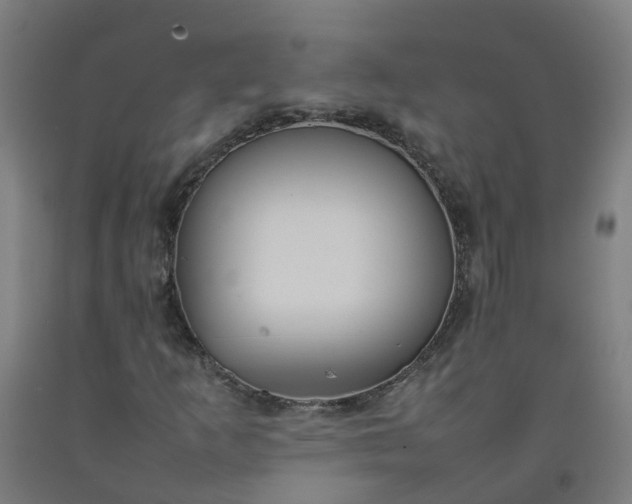 X0000092241253200709281117