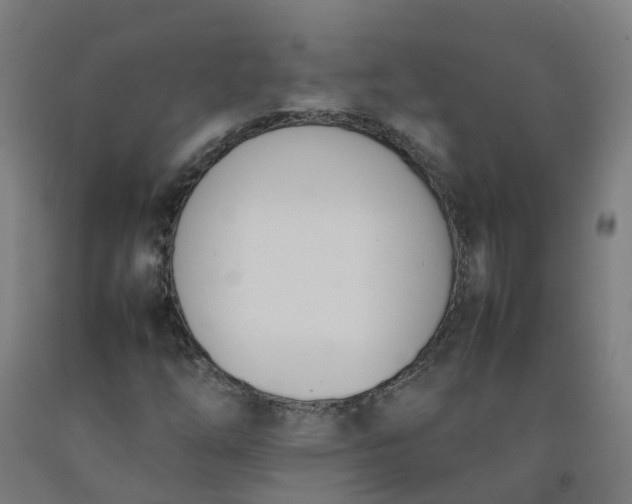 X0000092241254200709281117