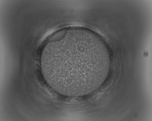 X0000092241255200709281117