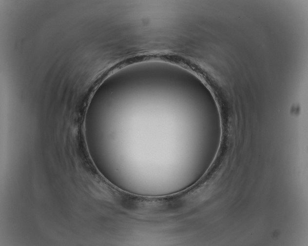 X0000092241257200709281117