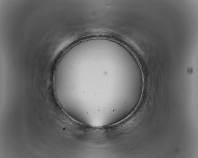 X0000092241261200709281117