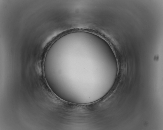 X0000092241262200709281117