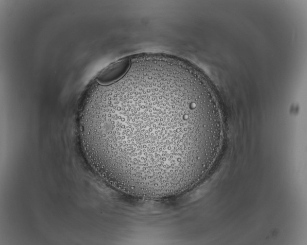 X0000092241263200709281117