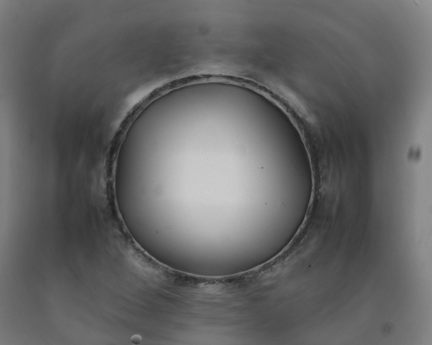 X0000092241264200709281117