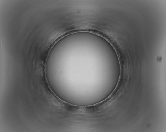 X0000092241265200709281117