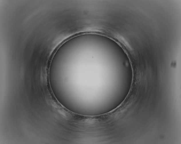 X0000092241268200709281117
