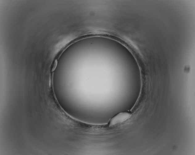 X0000092241269200709281117