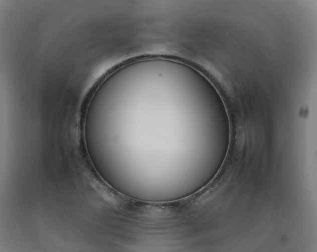 X0000092241270200709281117
