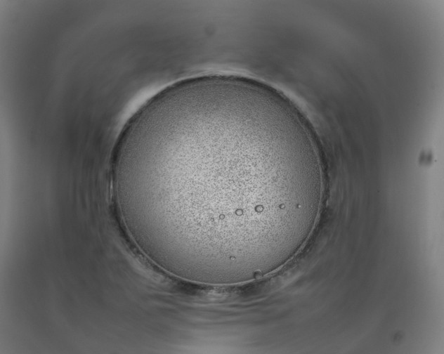 X0000092241271200709281117