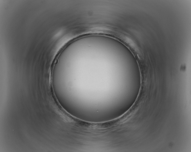 X0000092241275200709281117