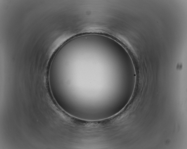 X0000092241277200709281117