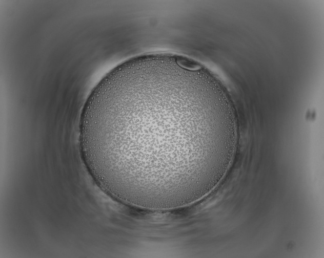 X0000092241279200709281117