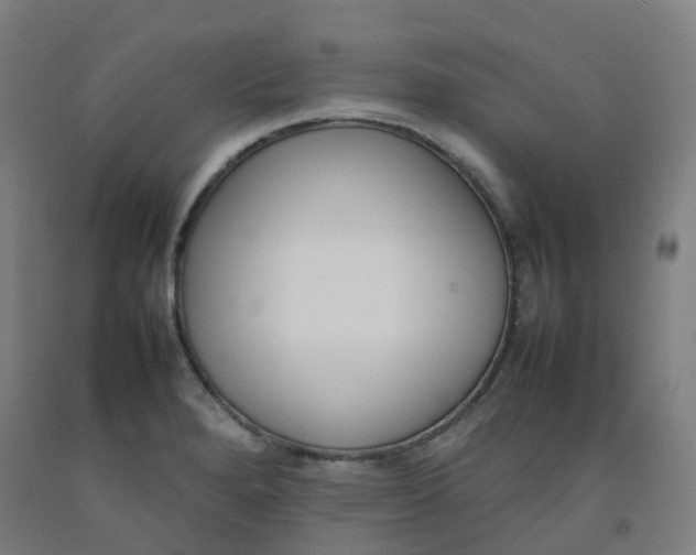 X0000092241280200709281117