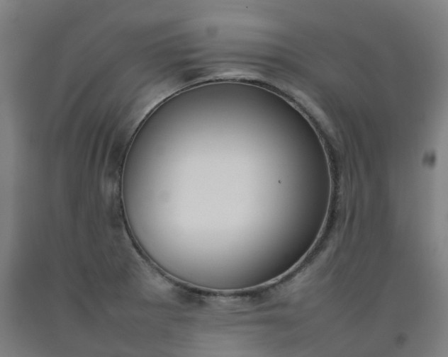 X0000092241281200709281117