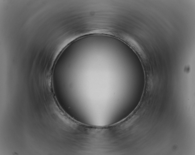 X0000092241284200709281117