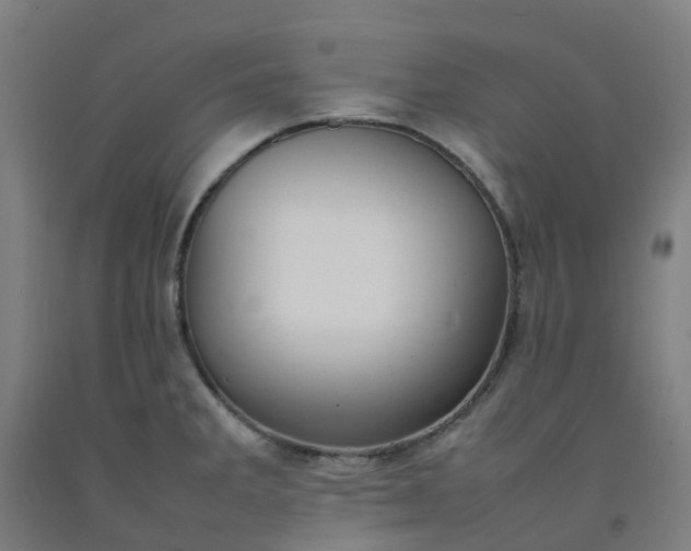 X0000092241285200709281117
