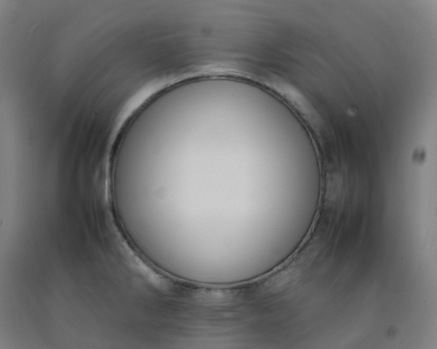 X0000092241286200709281117