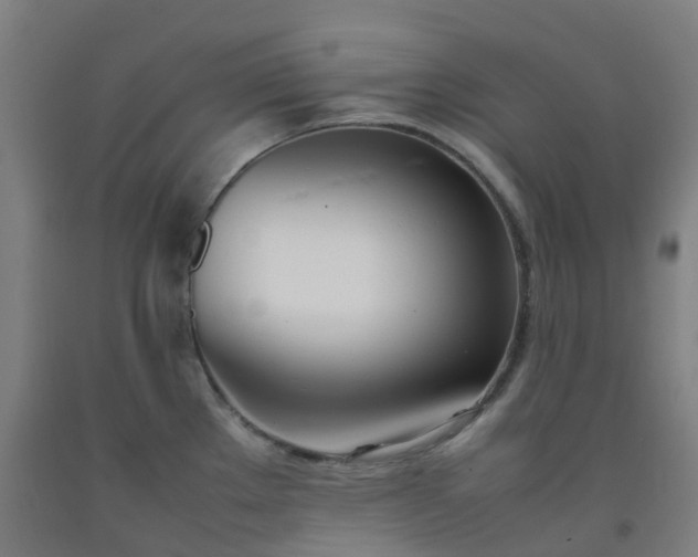 X0000092241289200709281117